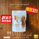 【超目玉】【OUTLET】【在庫誤差ストック分】愛媛まどんなのフルーツティー(10g×5個)