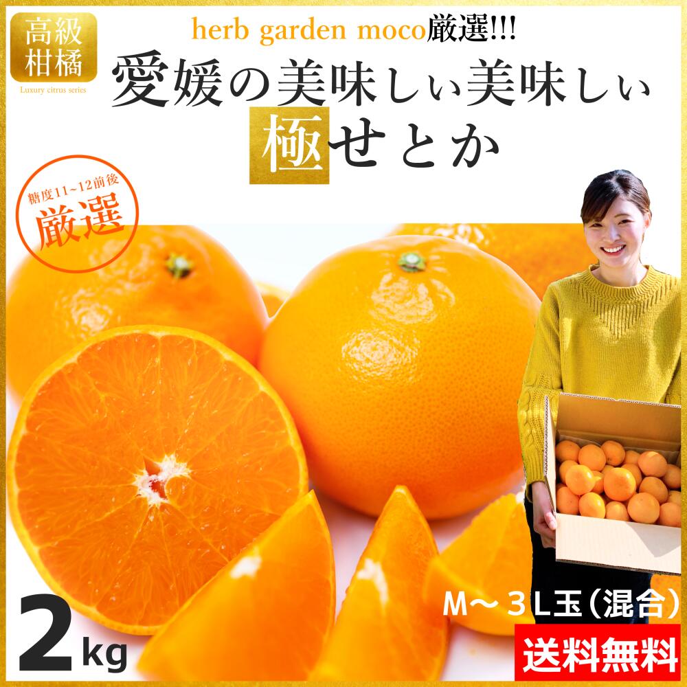 【送料無料】極せとか 2kg　 愛媛 みかん 2kg 送料無料 M~3L玉 混合 サイズ 高級柑橘 温州 家庭用 果物 柑橘 四国 食品 通販