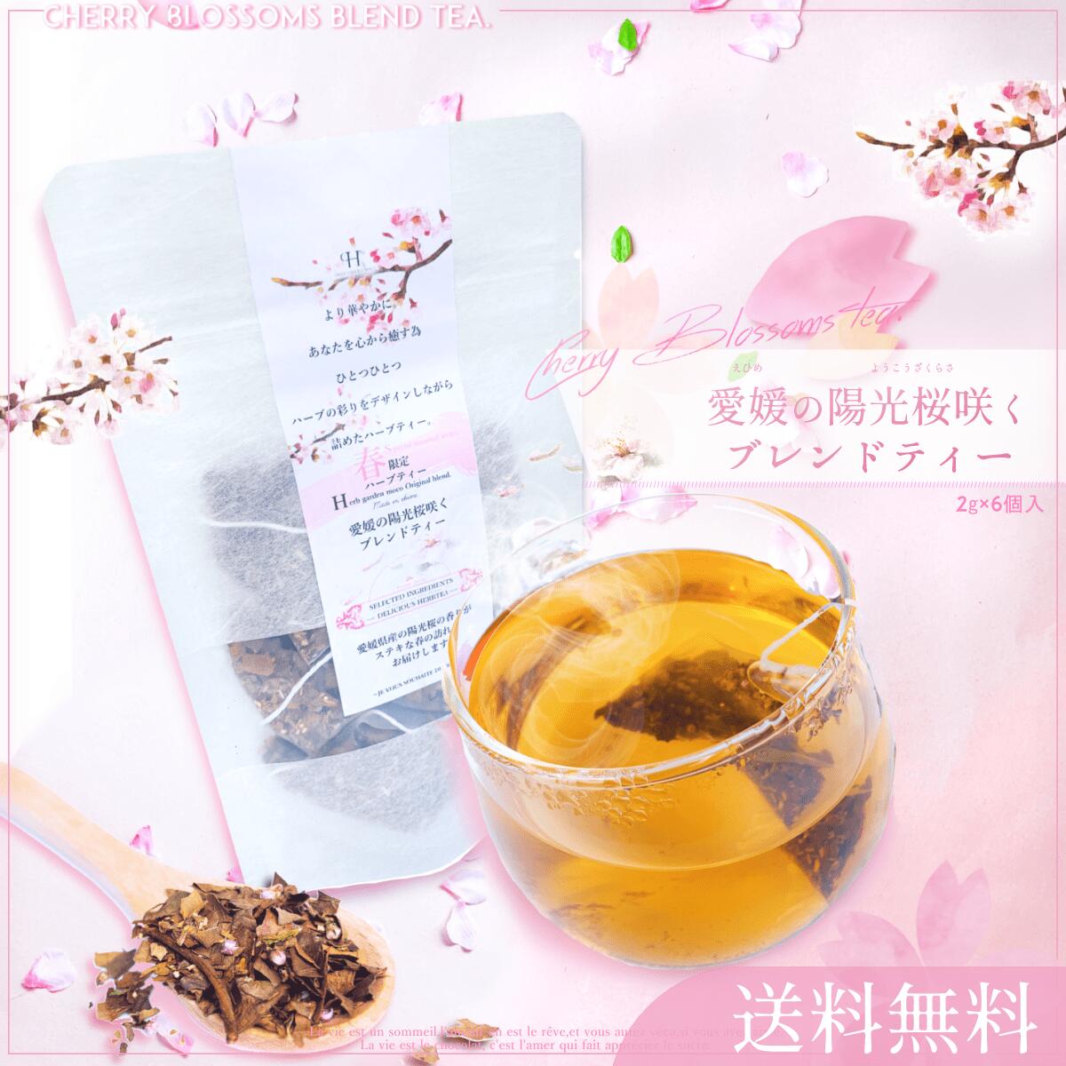 【春限定】愛媛の陽光桜咲くブレンドティー(2g×6個) 桜 ハーブティー ティーバッグ 季節限定 ルイボス 桜花 ヒースのサムネイル