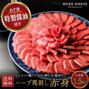 馬刺し 1.5kg 赤身【醤油タレ100ml付】 規格外 肉 大量入荷で割引中 馬肉 ブロック 馬刺 赤身 グルメ ギフト 食品 肉 お歳暮 お中元 ギフト 父...