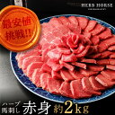 馬刺し 赤身 2kg 醤油タレ 2本付 馬刺し醤油 馬刺し 小分け 馬刺し ギフト 馬肉 1kg プレゼント 馬肉 冷凍 馬肉 馬刺 お取り寄せ ギフト プレゼ...