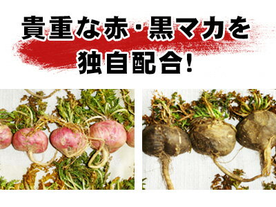 3種類のマカパワーが力強くサポート★マカファイター★10個セット 2