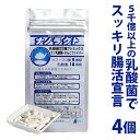 たっぷり総菌数5000億個以上!乳酸菌&ビフィズス菌が簡単にとれるナノラクト 4個セット