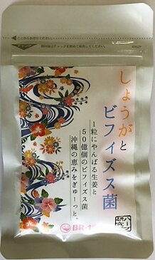 送料無料 1か月分62粒入 20%off 飲むビフィズス菌 ビフィズス菌サプリメント 生姜入り しょうが ショウガ 冷え性 代謝アップ やんばるショウガ DHA EPA ショウガオール ジンゲロール 国産