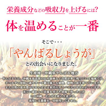 送料無料 62粒入り×2パック 通常より15％off サプリ 生姜入り サプリ しょうが ショウガ サプリ ビフィズス菌 美容 整腸 やんばるショウガ使用 DHA EPA ショウガオール ジンゲロール 国産