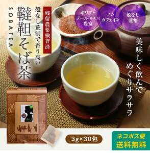 そば茶（韃靼そば茶）90gティーバッグお試しサイズ3g×30包！送料無料！殻無し韃靼蕎麦（だったんそば）茶【そば茶/ソバ茶/ダッタンソバ】