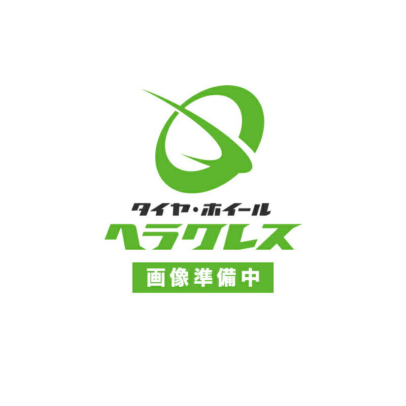 RTGメッキホイール 19.5インチ×6.75(136) 6穴/285 JIS規格 フロント用