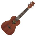 Ibanez ACoj[Y 芴ƒe₷ɂX^_[hEEN yRT[gETCYz UKC100-OPN 