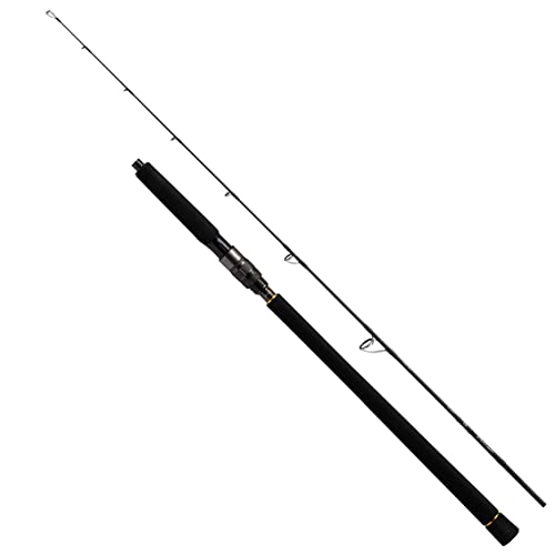 _C(DAIWA) OUTRAGE(AEgCW) BR J60S-2.5 