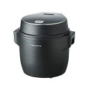 レコルト コンパクト ライスクッカー RCR-1 recolte Compact Rice Cooker (ブラック) 送料無料