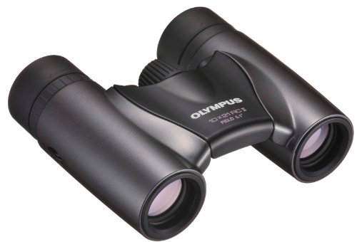 オリンパス OLYMPUS ダハプリズム双眼鏡 10x21 RCII ダークシルバー 小型軽量モデル