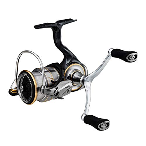 _C(DAIWA) XsjO[ 20 rAX LT2500S-DH(2020f) 