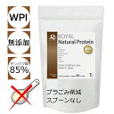 【スプーンなし】 WPI 無添加 ロイヤル ナチュラル プロテイン チョコレート味 1kg 国産 高タンパク 低カロリー 人工甘味料 不使用 アミノ酸スコア100 ダイエット 美容 健康維持 タンパク質 美味しい 毎日 飲みやすい ゼロインフィニティ 【オススメ】