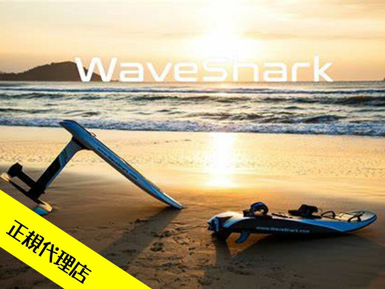 WaveShark Foil ウェーブシャーク 水上モーターボード