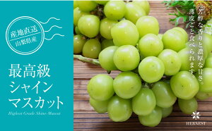 [予約販売　9月から順次発送]　送料無料 シャインマスカット 1房 山梨県産 ぶどう ブドウ 葡萄 ギフト 贈答 プレゼント お中元 御中元 お土産 出産内祝い 結婚内祝い 新築内祝い 700g以上