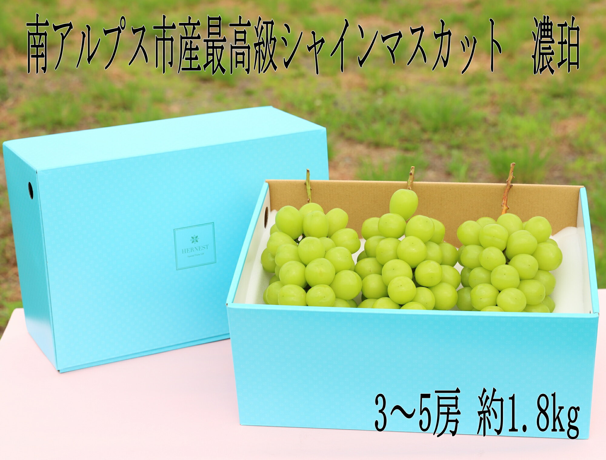 ぶどう 予約販売 9月から順次発送 シャインマスカット 3~5房 1.8kg~2.0kg 山梨 県産 シャインマスカット山梨県 ぶどう ブドウ 葡萄 ギフト 贈答品 プレゼント お土産 出産祝い 結婚祝い 内祝い 種無しブドウ 皮ごとぶどう 果物ギフト 高糖度 甘い 美味しい フルーツ 送料無料