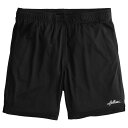 ホリスター メンズ メッシュ ショートパンツ Hollister Mesh Logo Shorts 7 (ブラック) 