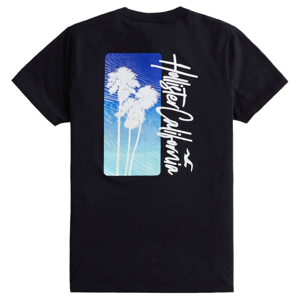 【並行輸入品】ホリスター メンズ Ｔシャツ ( ５枚 セット 箱入り ) Hollister Icon Crew T-Shirt 5-Pack (5color) 【まとめ買い tシャツ ｔシャツ 】