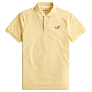 ¹͢ʡۡڥ᡼̵ۥۥꥹ  ݥ ( Ⱦµ ) Hollister Stretch Polo () ڥݥ ݥ 