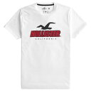 【並行輸入品】【メール便送料無料】ホリスター メンズ Tシャツ ( 半袖 / スポーツニット ) Hollister Sport Knit Logo Graphic Tee (ホワイト) 【tシャツ tシャツ 】