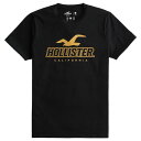 ysAizy[֑zzX^[ Y TVc (  / X|[cjbg ) Hollister Sport Knit Logo Graphic Tee (ubN) ytVc tVc z