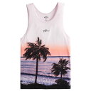 【並行輸入品】【メール便送料無料】ホリスター メンズ タンクトップ ( 袖なし ) Hollister Lightweight Logo Tank (ライトピンク) 【ノースリーブ タンク 】