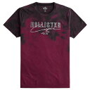 ホリスター メンズ Tシャツ ( 半袖 ) Hollister Tie-Dye Logo Graphic Tee (バーガンディー) 