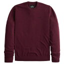 ホリスター カンパニー 【並行輸入品】【メール便送料無料】ホリスター メンズ セーター ( クルーネック ) Hollister Crew Sweater (バーガンディー) 【ニット セータ 】