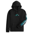 ホリスター メンズ パーカー ( プルオーバー ) Hollister Shine Logo Graphic Hoodie (ブラック) 