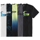 【並行輸入品】ホリスター メンズ Tシャツ ( 5枚 セット 箱入り ) Hollister Print Graphic Tee 5-Pack (5-color) 【tシャツ tシャツ まとめ買い 】