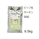 キアオラ Kia Ora ドッグフード グラスフェッドビーフ&サーモン 9.5kg 賞味2026.05.21 +プレゼント2個選択【あす楽対応】【HLS_DU】