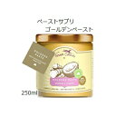 訳アリ!セール テラカニス ペーストサプリ ゴールデンペースト 250ml 賞味期限2025.07.12【あす楽対応】【HLS_DU】