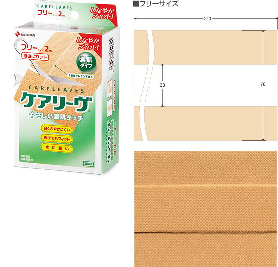 ニチバン ケアリーヴ フリーサイズ CL2F 2枚入り 送料無料 定形外郵便
