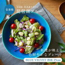 母の日【レビュー投稿で2000円クーポン】深皿 25cm ディーププレート THE HARVEST BLUE VELVET 信楽焼 青 ブルー blue 取り分...