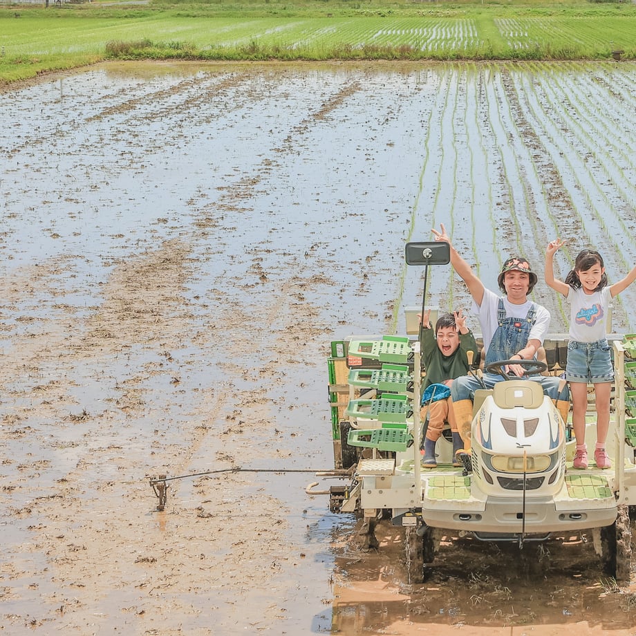 米 化学肥料不使用 健康 自然食品　【12/4より30%OFF】 幻のお米【白米】ササシグレ So 無農薬 令和7年産 LIFETIME 宮城県石巻市より産地直送 送料無料 安心 安全 自然 ギフト 精米 新米 お米 米 コメ 米 こめ おこめ kome 備蓄米 非常用