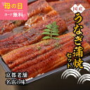 \まだ間に合う/母の日【レビュー投稿で2000円クーポン】【京料理六盛】 京都老舗名店の味 国産うなぎ蒲焼セット お土産 プレゼント 手土産 土産 お返し 差し...