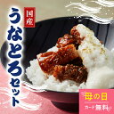 \まだ間に合う/母の日【レビュー投稿で2000円クーポン】【京料理六盛】 京都老舗名店の味 国産うなとろセット お土産 プレゼント 手土産 土産 お返し 差し入...
