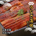 【P10倍xレビュー投稿で2000円クーポン】【京料理六盛】 京都老舗名店の味 国産うなぎ蒲焼セット お土産 プレゼント 手土産 土産 お返し 差し入れ ギフト...