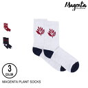 MAGENTA SKATEBOARDS }WF^ PLANT SOCKS 3F C Z