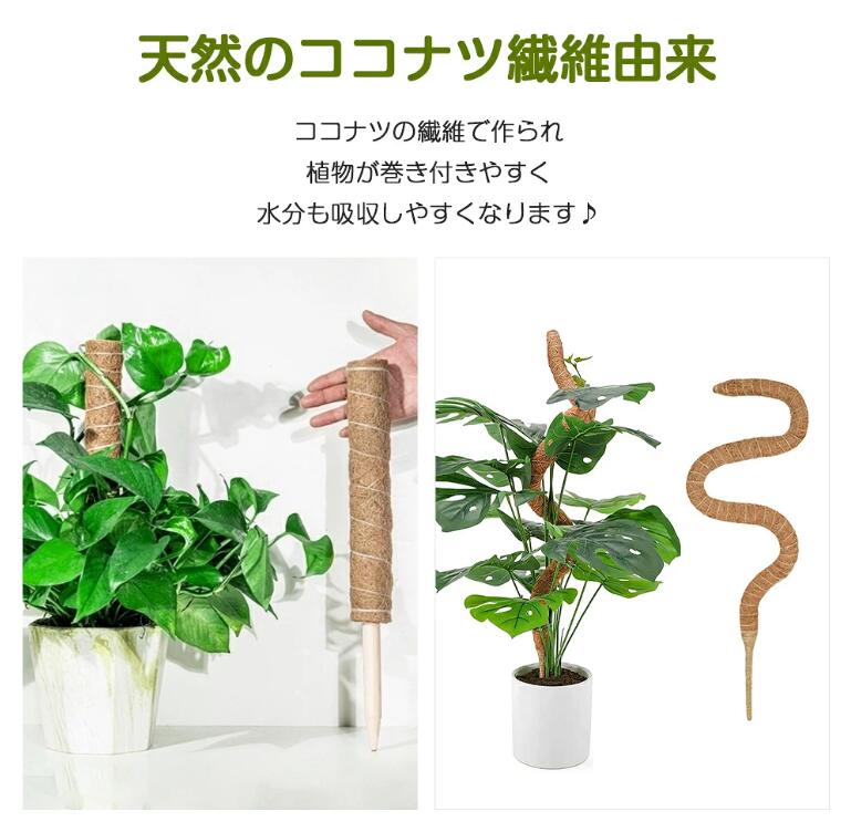 商品情報 セット内容 2本入れ、3本入れ サイズ/寸法 ・通常タイプ：30cm、40cm、50cm ・曲げられる：60cm、70cm、80cm 素材 天然ココヤシ繊維 適応植物 ヘデラ類、ポトス、フィロデンドロン、モンステラシンゴニューム等【おしゃれな雰囲気に】 天然のココナツ繊維が原材料になり、自然になじみやすくて見栄えが良いです。見た目にもインテリア効果を崩さず、モンステラと一体になっておしゃれな雰囲気が味わえます。 【丈夫で耐久性が良い】 木の棒が土に入れやすく、植物に害なく、環境に優しい素材を採用しております。太くて耐久性が良くて、植物を強力に支え、倒れることを防げます。 【連結タイプ・長さ伸ばせる】 植物の成長に合わせて上に継ぎ足していけます。モンステラが盛んに成長しますので太くて長い支柱が必要です。上継ぎ足せば、植物をお好みの高さまで育てることができますので、成長ももっと楽しめます。 【植物の成長に良い】 繊維部に植物が巻き付きやすくなりますので水分も吸収しやすくなります。ココナツ繊維を使い、幹を安定させてあげることで、モンステラのバランスを整えることができます。バランスがよくなれば、葉が密集することが防げるので日当たりや風通し、また害虫予防の効果まで得られますし、株の異常にも早く気付くこともできます。 【適応植物】 ヘデラ類、ポトス、フィロデンドロン、モンステラシンゴニューム等