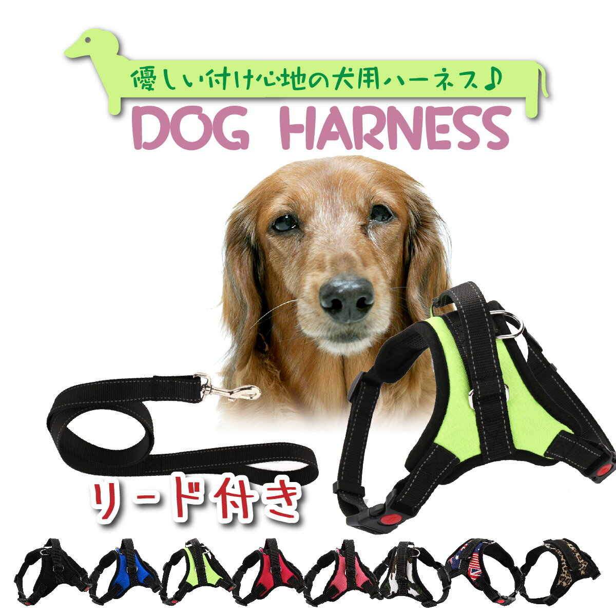 【送料無料】犬 ハーネス リード付