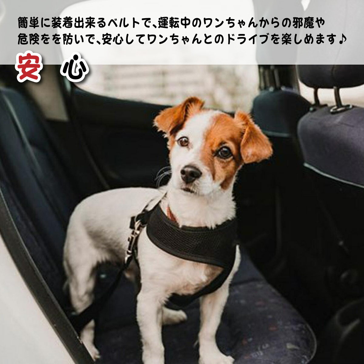 【送料無料】リード シートベルト ペット用 車 犬 猫 ドライブ 旅行 外出 安全 長さ調節可能 飛び出し対策