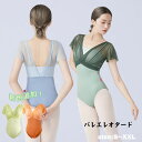 送料無料 バレエレオタード 大人 上品 バレエ用品 バレエ形体服 レオタード グリーン グレーブルー 練習服 バレエダンス 連体ダンス服 バレエ レオタード 大...