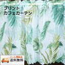 【送料無料・メール便配送】モンステラ＆シダ グリーンプリント カフェカーテンモンステラ柄巾100cmX丈45cm