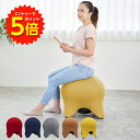 【エントリーでP5倍!】バランスボール スツール チェア 耐荷重300kg 【 固定フレーム ハンドポンプ付 】 テレワーク 体幹トレーニング バランス ボール 椅子 ヨガ ストレッチ ダイエット 骨盤 バランスディスク 宅トレ 赤ちゃん寝かしつけ 自宅 トレーニンググッズ