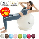 【エントリーでP5倍!】バランスボール 55cm アンチバースト 耐荷重300kg 固定リング ハンドポンプ付】 体幹トレーニング バランス ボール 椅子 ヨガ ストレッチ ダイエット 骨盤 バランスディスク 腹筋 健康器具 宅トレ 赤ちゃん寝かしつけ 産後 自宅