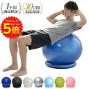 【6/1〜エントリーでP5倍!】バランスボール 65cm 耐荷重300...(4)