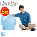 【エントリーでP5倍!】バランスボール 75cm 耐荷重300kg 【 固定リング ハンドポンプ付 】 体幹トレーニング バランス ボール 椅子 ヨガ ストレッチ ダイエット器具 骨盤 バランスディスク 宅トレ 赤ちゃん寝かしつけ 産後ダイエット 自宅 トレーニンググッズ