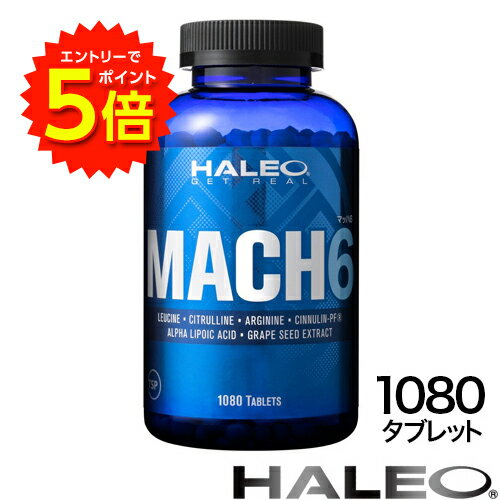 【6/1〜エントリーでP5倍!】HALEO MACH6 ハレオ マッハ6 1080タブレット【送料無料】