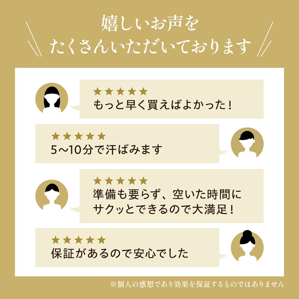 【マラソン期間P5倍】【ツイストステッパー正規品】ステッパー ツイストステッパー...